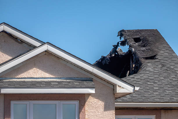 Licensed Odor Removal service in Stanchfield, MN - Fire Damage Biloxi